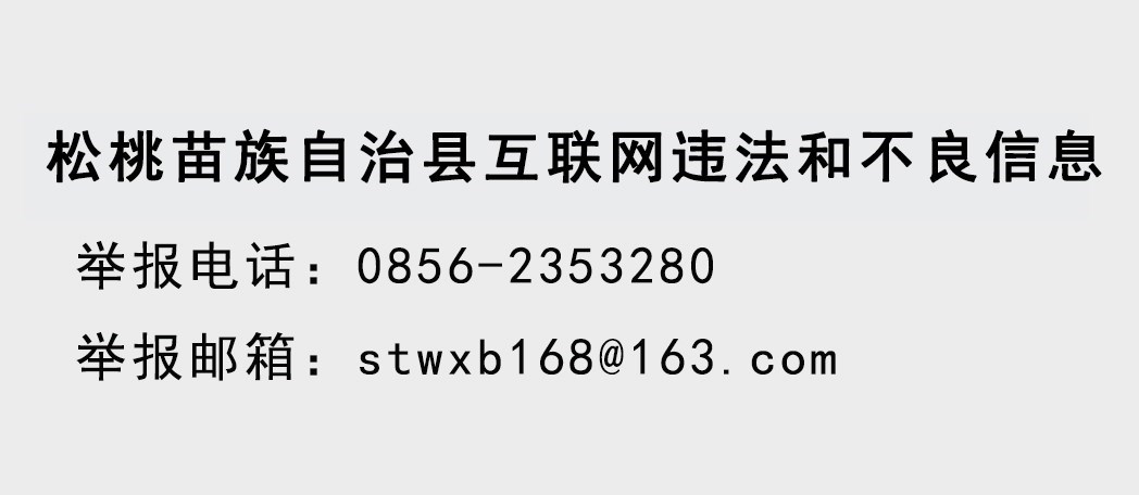 中偉新材料股份有限公司來(lái)松桃考察洽談