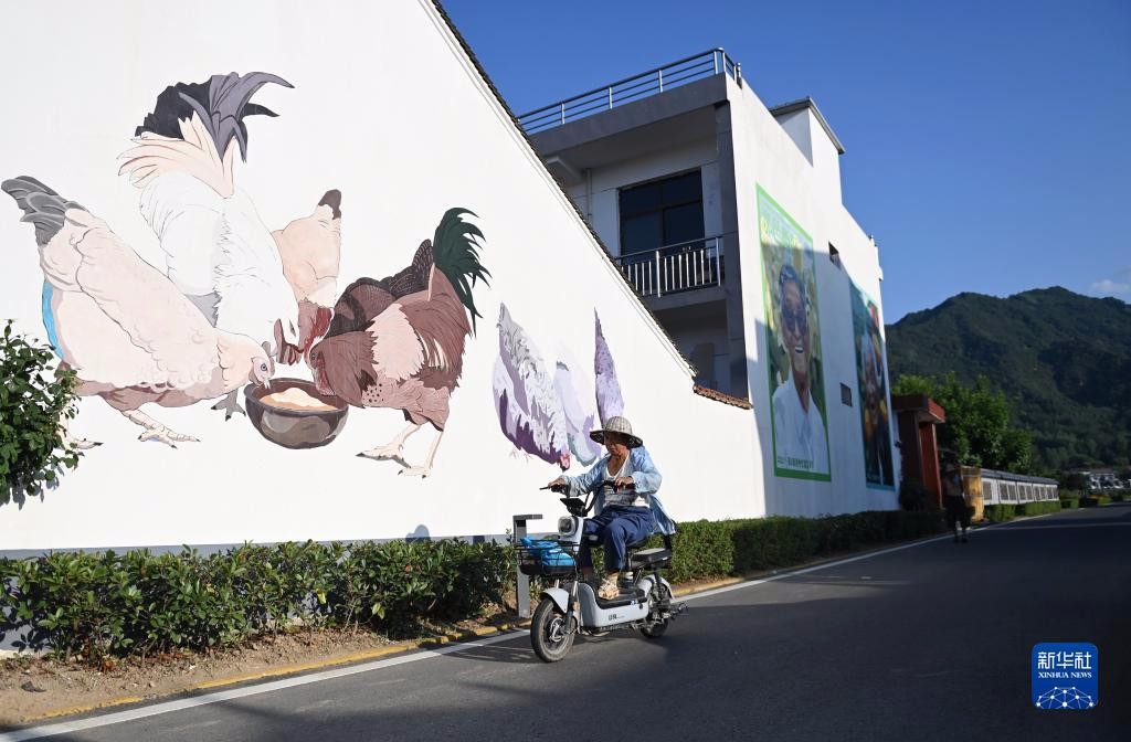 人民幸福生活是最大的人權(quán)丨“美好鄉(xiāng)村計(jì)劃”用藝術(shù)改造鄉(xiāng)村