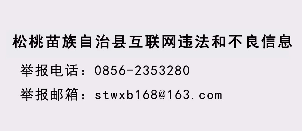 體驗(yàn)苗繡，浙江外國語學(xué)院到松桃探索“多語種+文化”模式