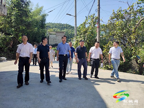 中國(guó)電子信息產(chǎn)業(yè)集團(tuán)有限公司來(lái)松桃調(diào)研定點(diǎn)幫扶工作