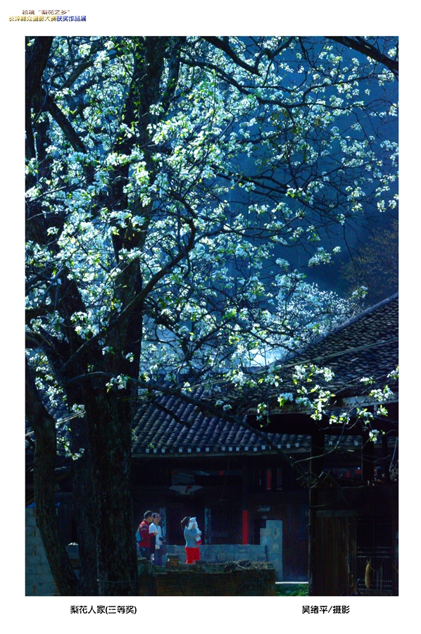 長坪“梨花之鄉(xiāng)”攝影大賽獲獎(jiǎng)作品賞析【一】