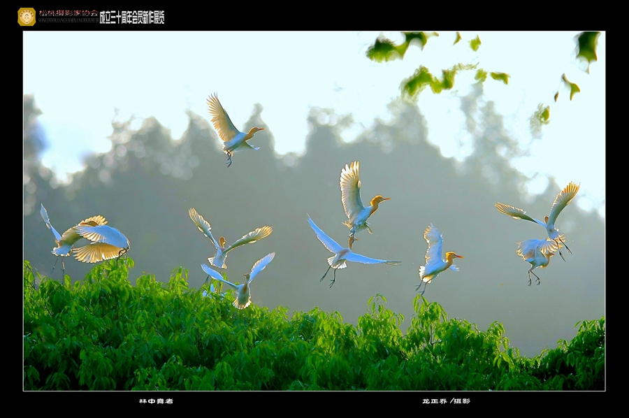 松桃攝影家協(xié)會(huì)成立30周年新作展（一）