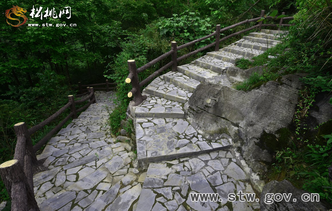 響水觀光步道，會(huì)呼吸的綠色“云梯”