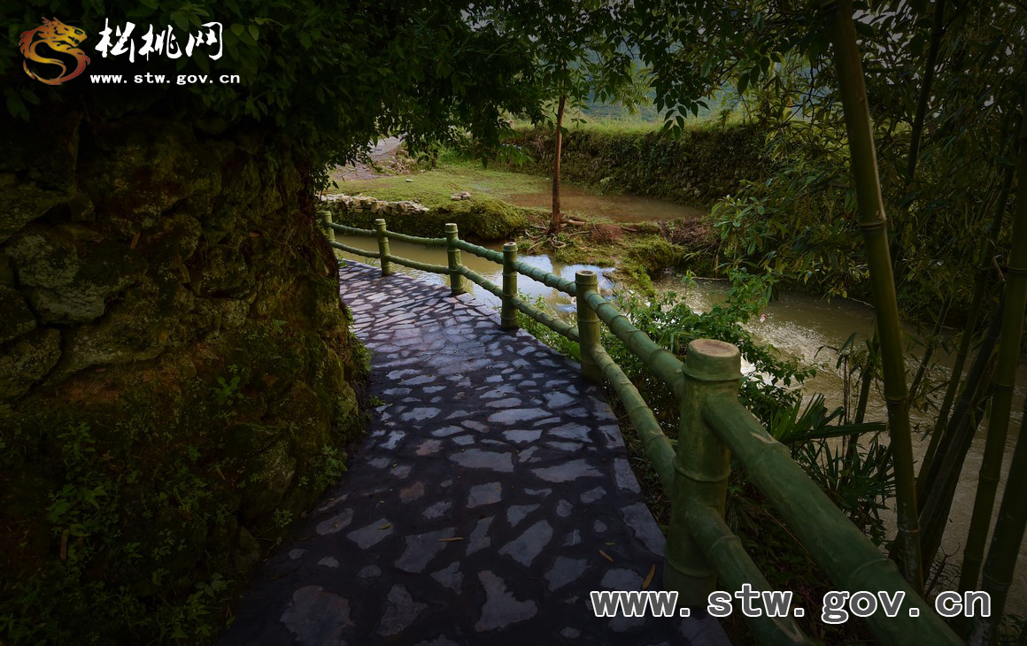 響水觀光步道，會呼吸的綠色“云梯”