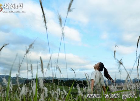 花開陌上 我在坡坡等你