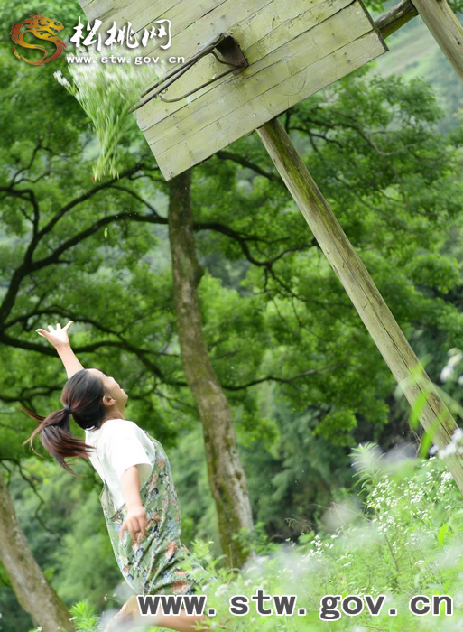 花開陌上 我在坡坡等你