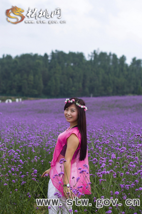 夏日一縷香