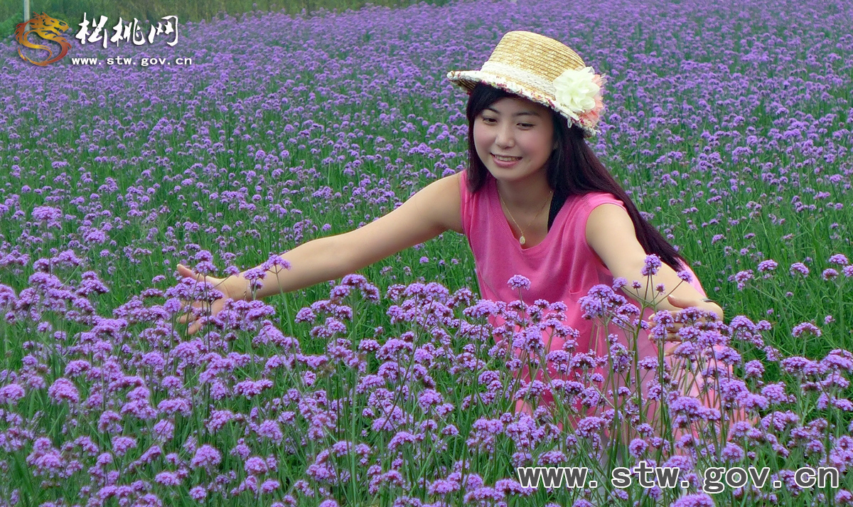 夏日一縷香