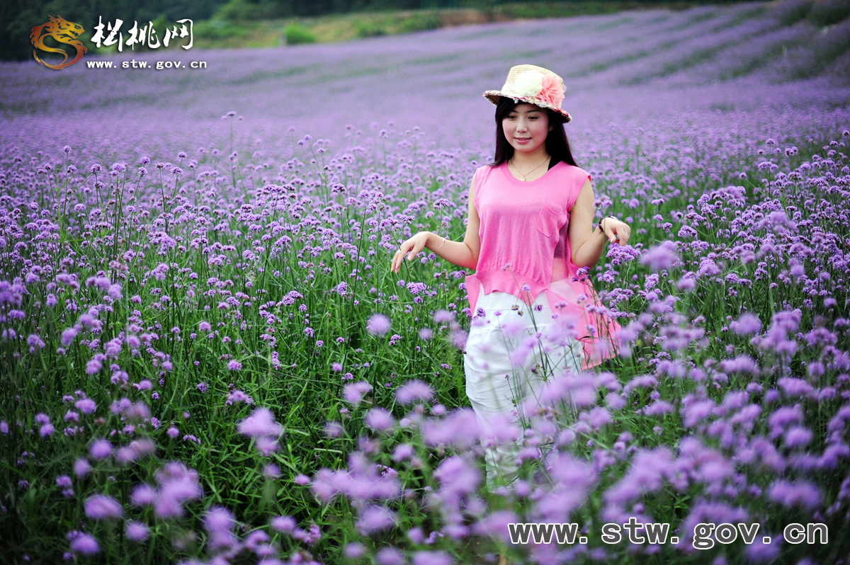 夏日一縷香