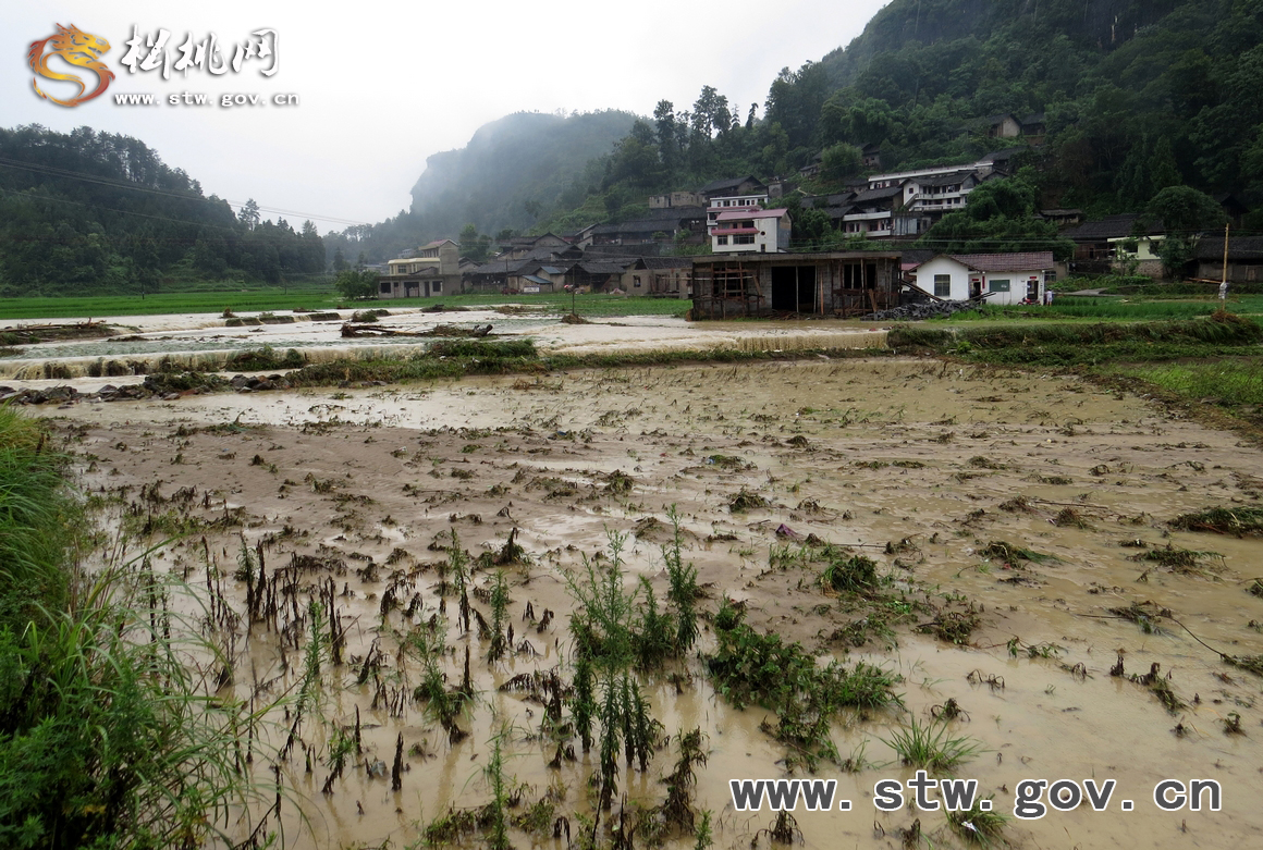 7.15鄉(xiāng)鎮(zhèn)災情圖片