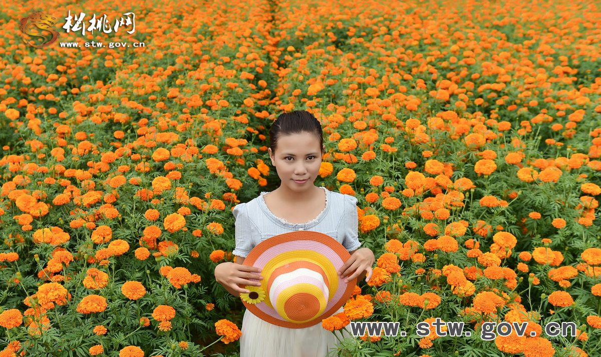 守望花?！∥以陂L興等你！