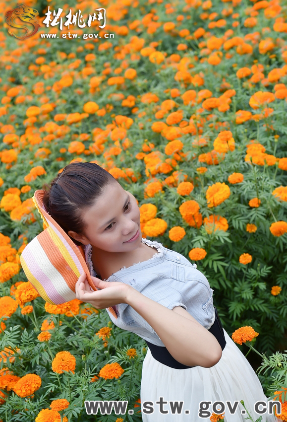 守望花?！∥以陂L興等你！