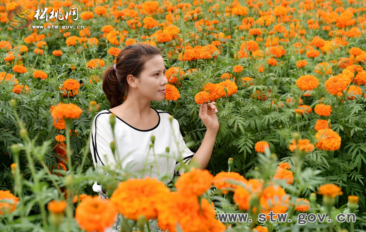 守望花?！∥以陂L興等你！
