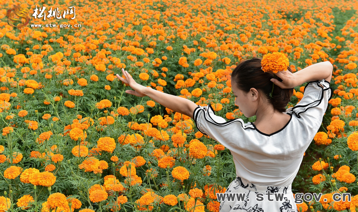 守望花?！∥以陂L興等你！