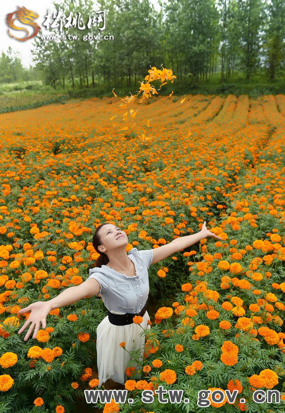 守望花?！∥以陂L(zhǎng)興等你！