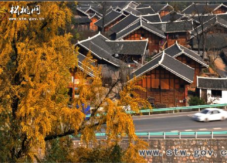 中國(guó)攝影報(bào)走進(jìn)盤信獲獎(jiǎng)作品賞析（二）