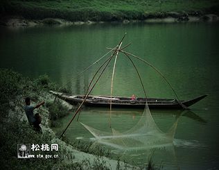 石花，守望湘黔邊區(qū)的嬌艷“西子”