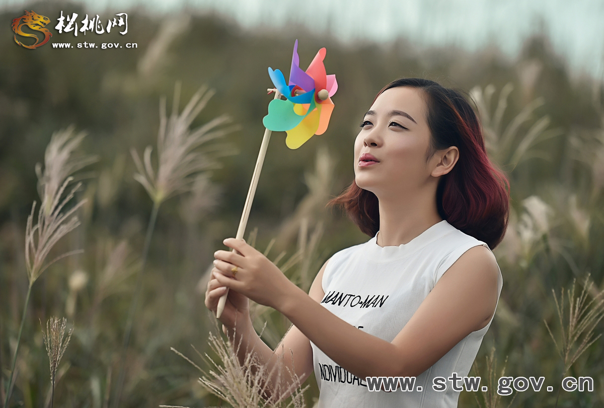戀上草海，戀上那片久違的蘆葦蕩