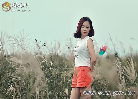 戀上草海，戀上那片久違的蘆葦蕩