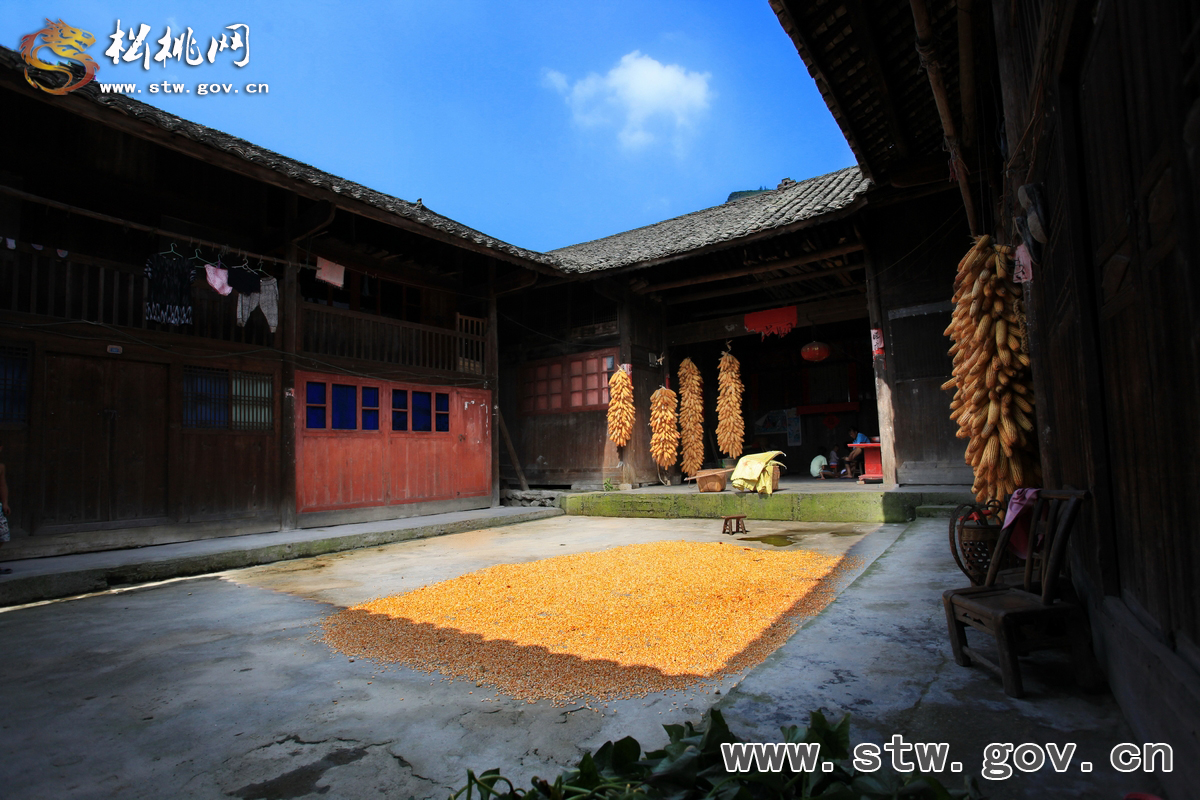 秋天又是一個(gè)豐收季