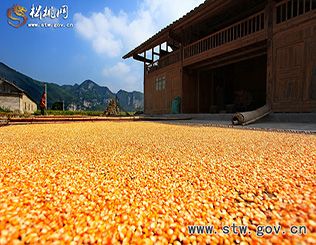 秋天又是一個(gè)豐收季
