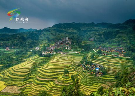 矮紅梯田，秋天里呢喃的旋律