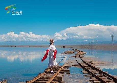 有位佳人　在水一方