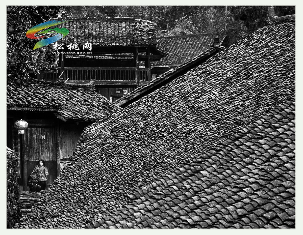中國(guó)攝影報(bào)走進(jìn)盤信影友作品
