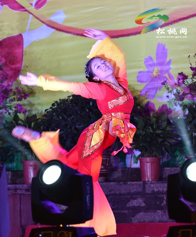 綻放校園文化魅力•邁向精彩藝術(shù)人生
