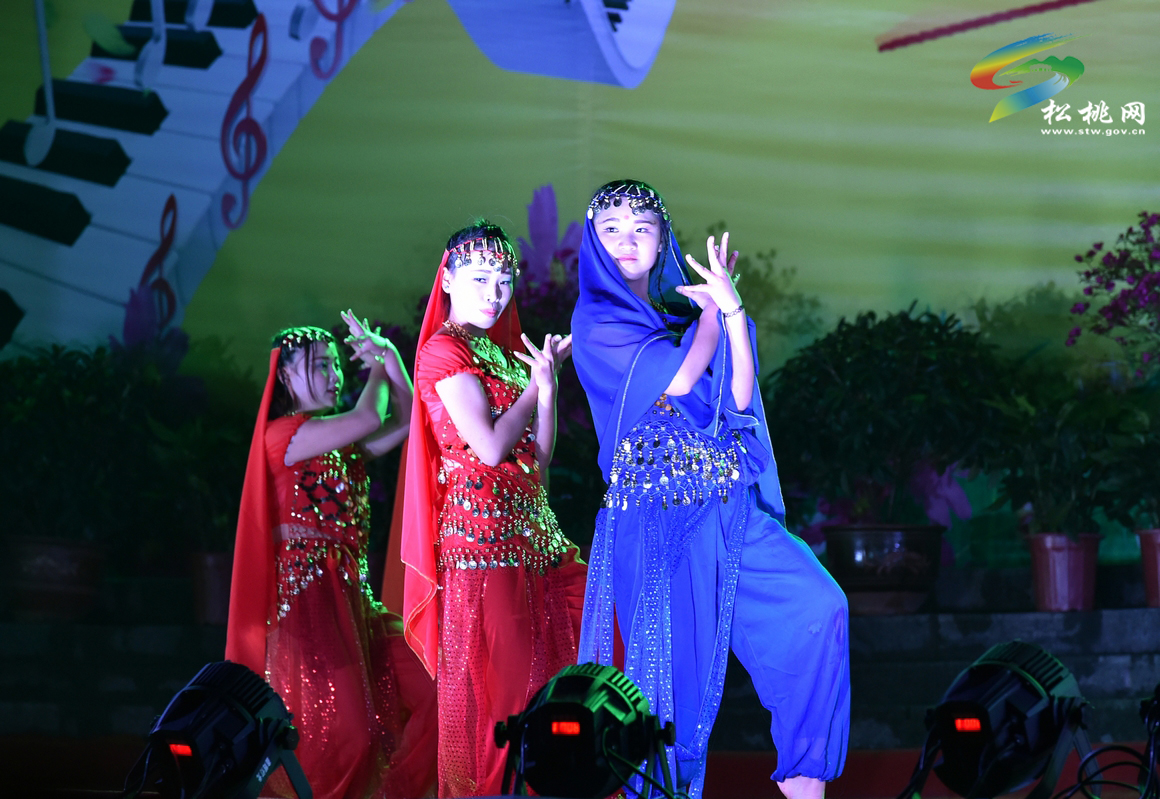 綻放校園文化魅力•邁向精彩藝術(shù)人生