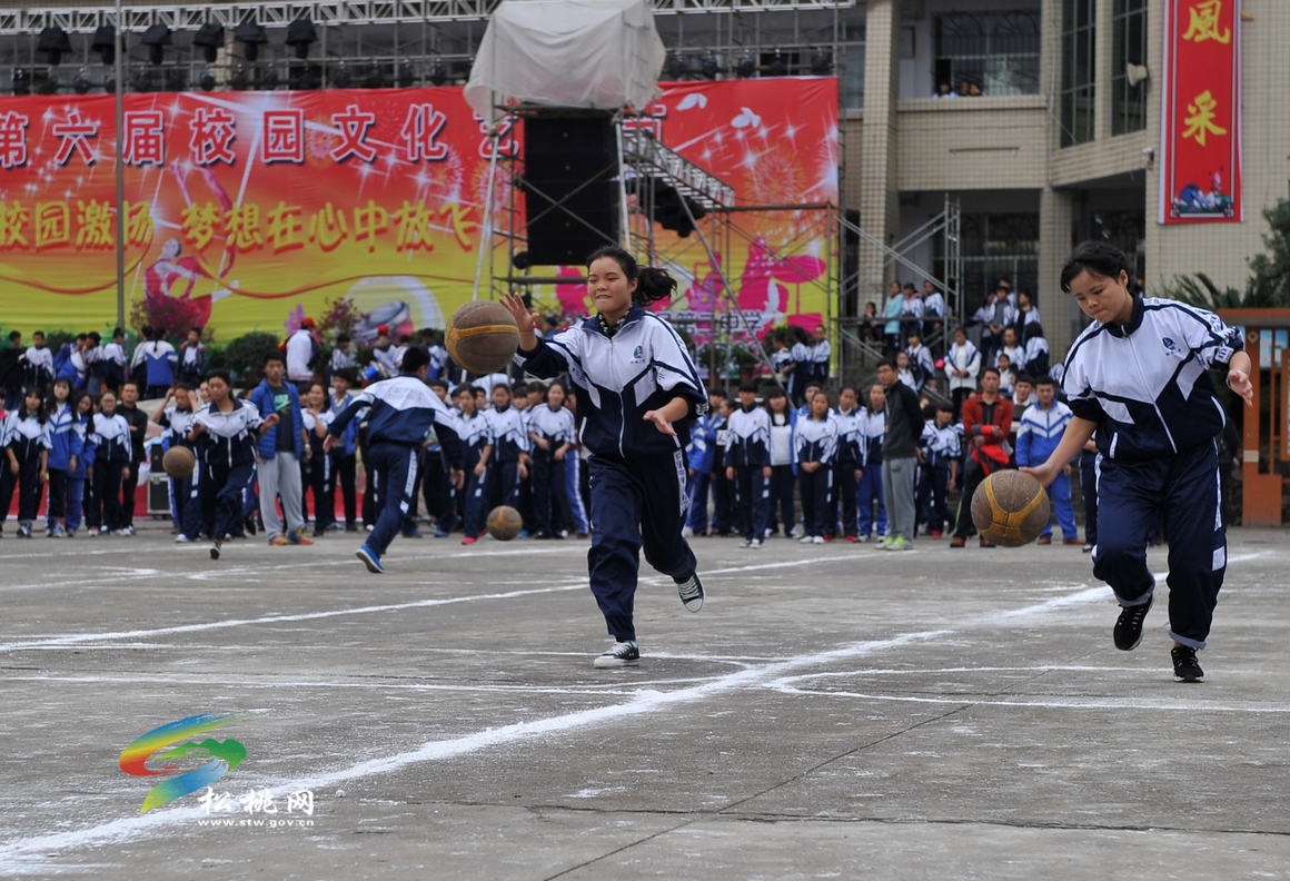綻放校園文化魅力•邁向精彩藝術(shù)人生