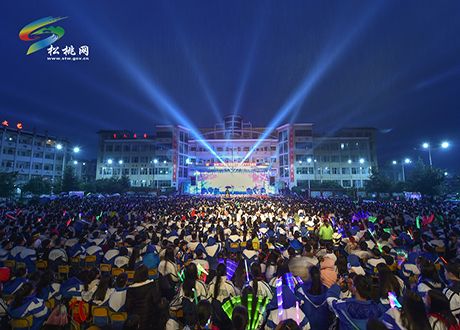 綻放校園文化魅力•邁向精彩藝術(shù)人生