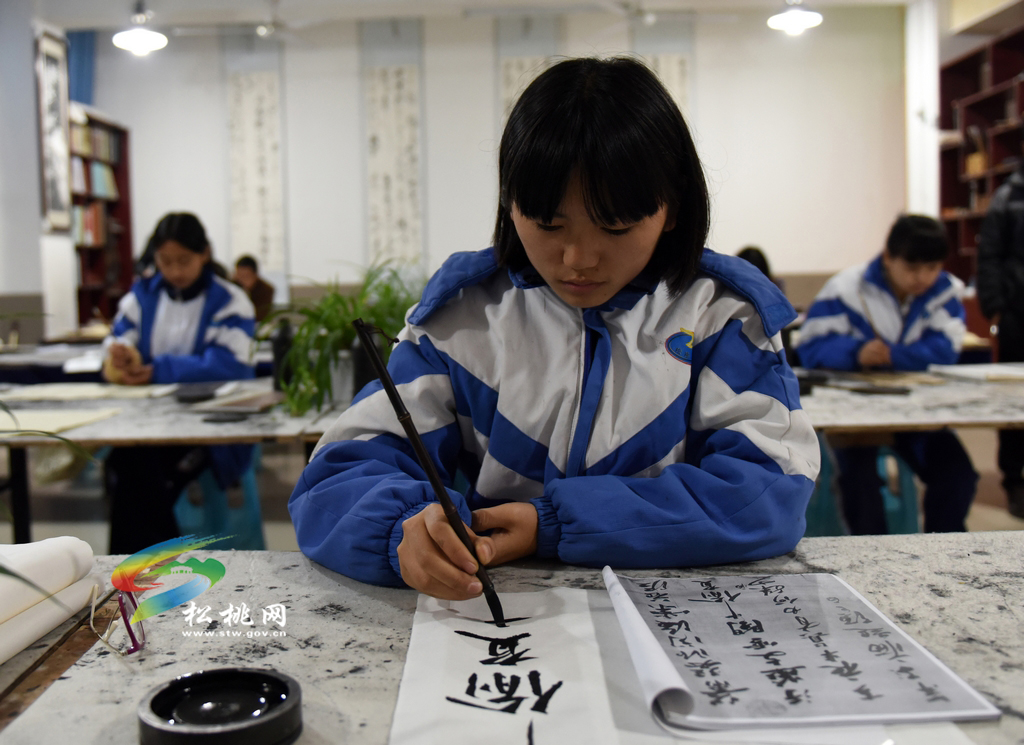 松桃舉行書法臨帖交流活動(dòng)啟動(dòng)儀式
