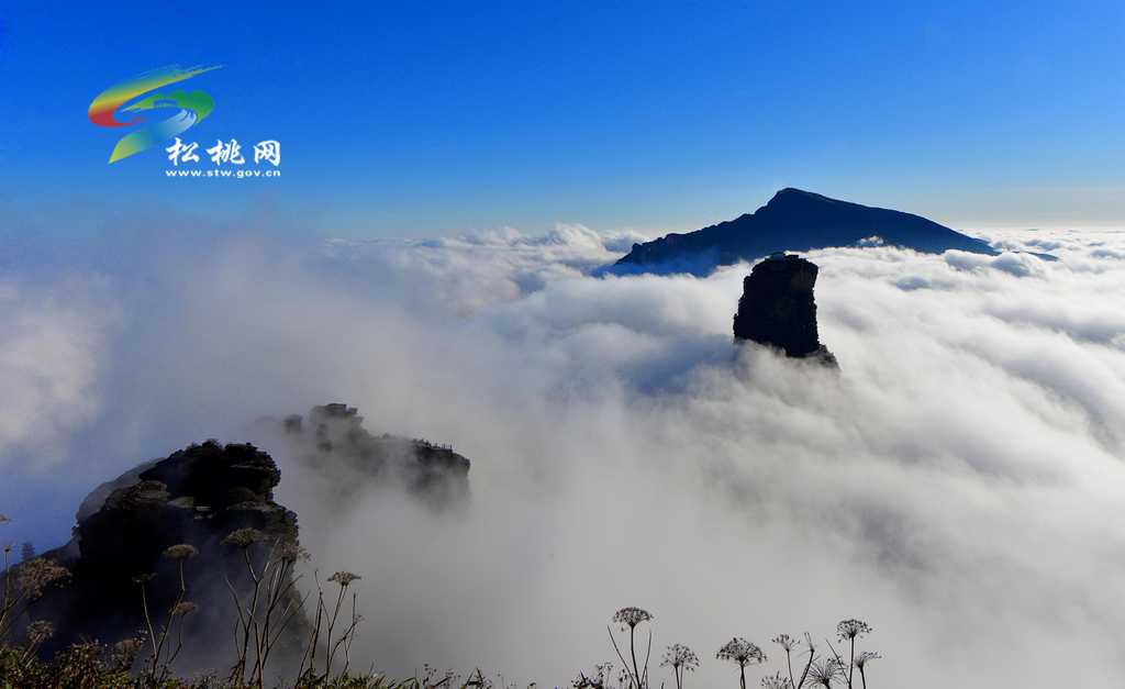 梵凈山云海風(fēng)光