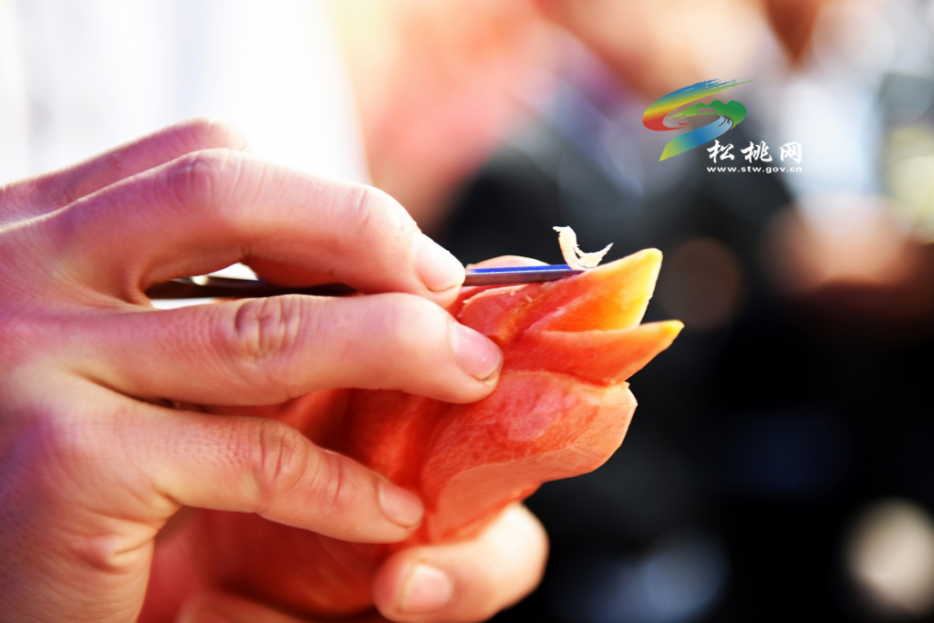 松桃職校=學(xué)生展才藝