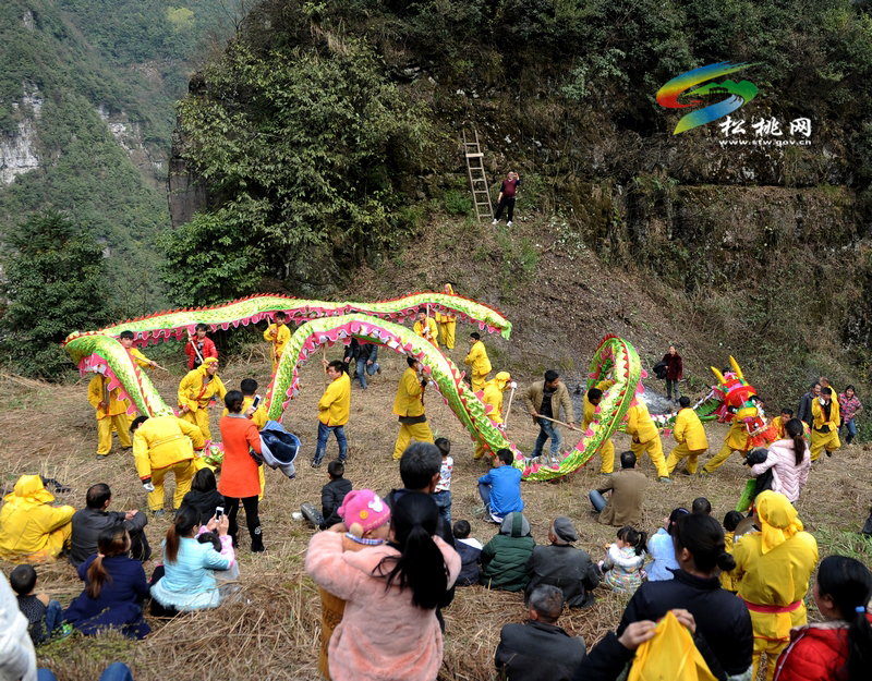 山村滾龍鬧起來