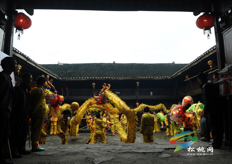 普覺半坡：滾龍鬧元宵