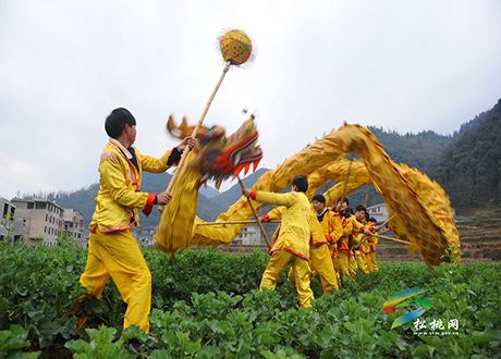 普覺半坡：滾龍鬧元宵