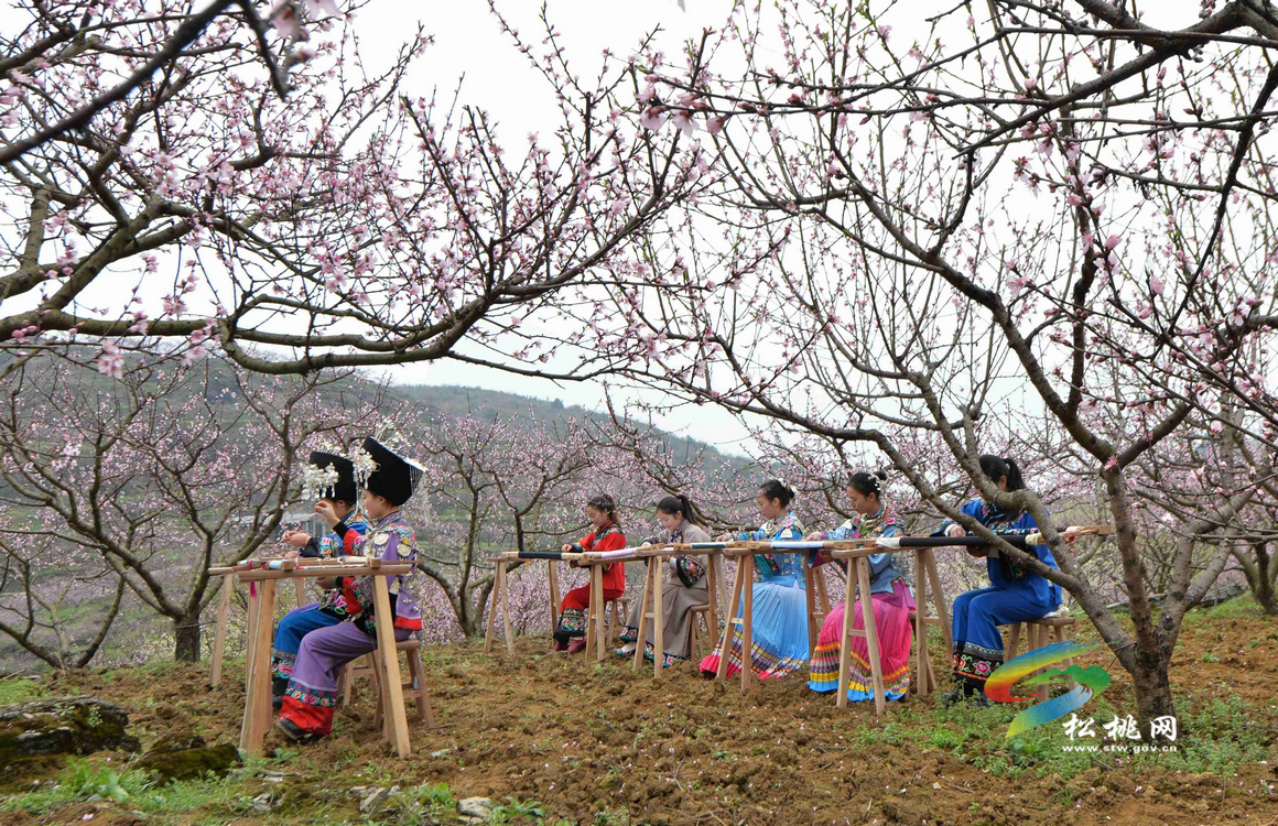 春暖花開，赴場桃花的盛宴