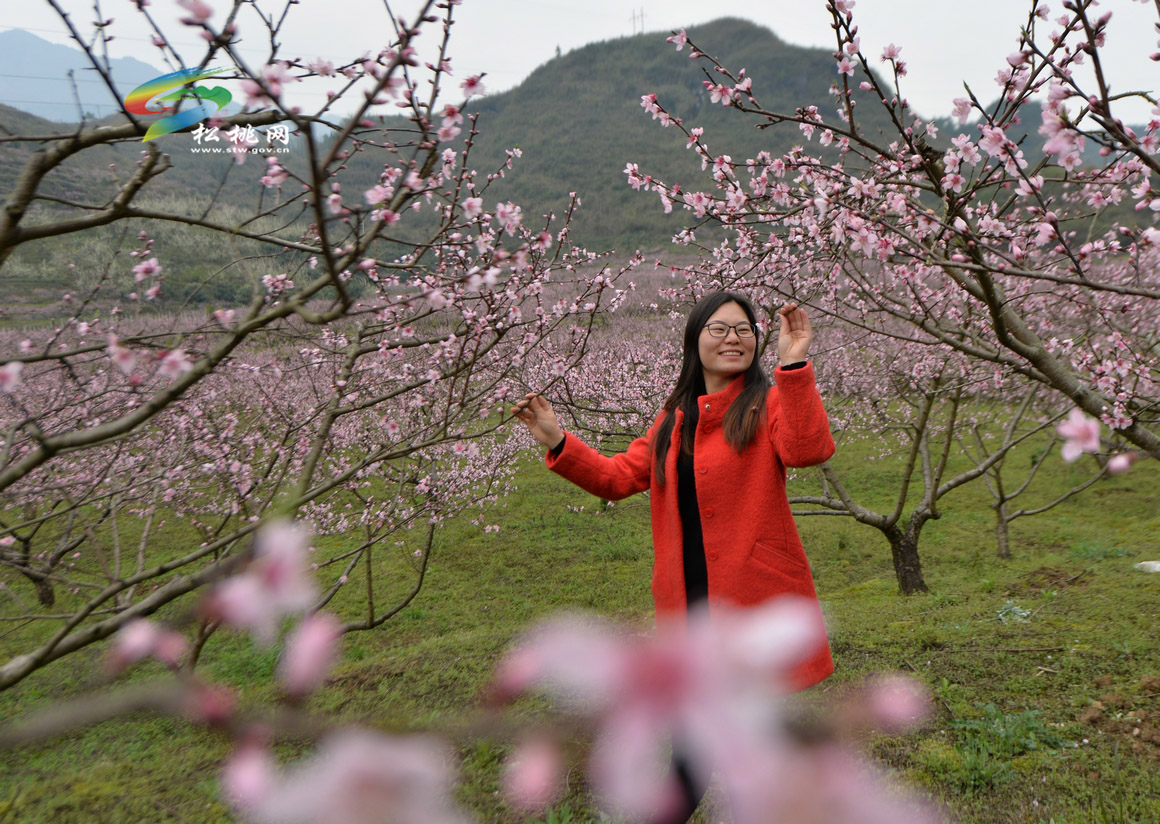春暖花開，赴場桃花的盛宴