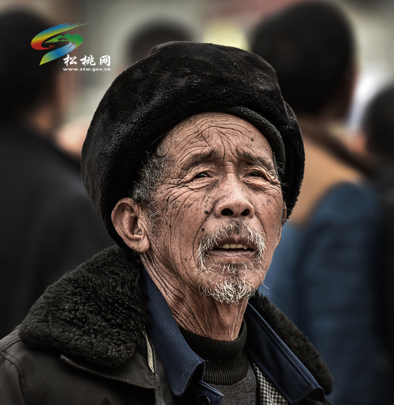 “放社”活動(dòng)精彩紛呈