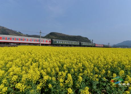 人勤春來早
