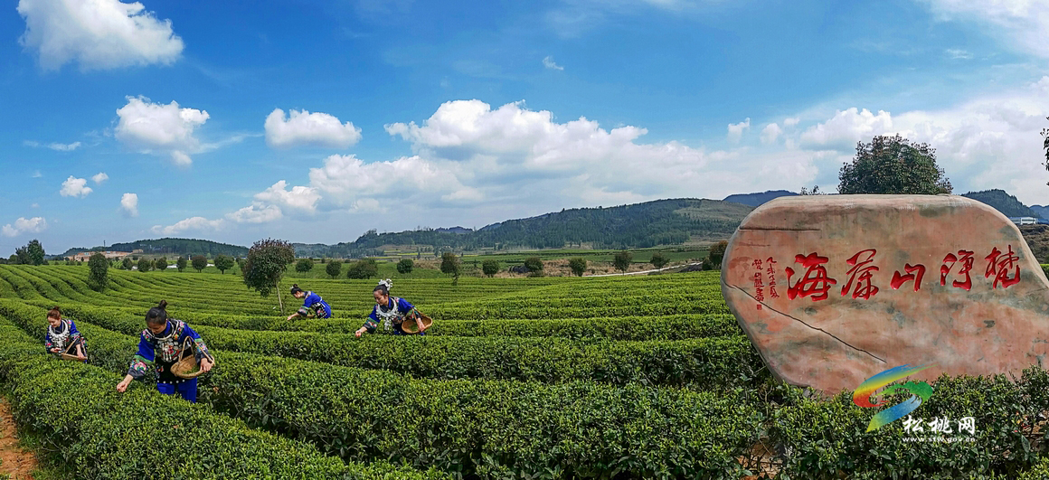 松桃攝影家協(xié)會(huì)年會(huì)暨“梵凈茶葉”杯一日攝影賽
