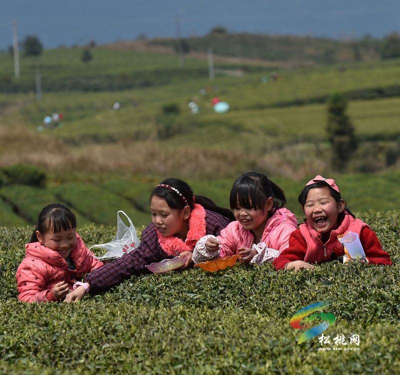 松桃攝影家協(xié)會(huì)年會(huì)暨“梵凈茶葉”杯一日攝影賽