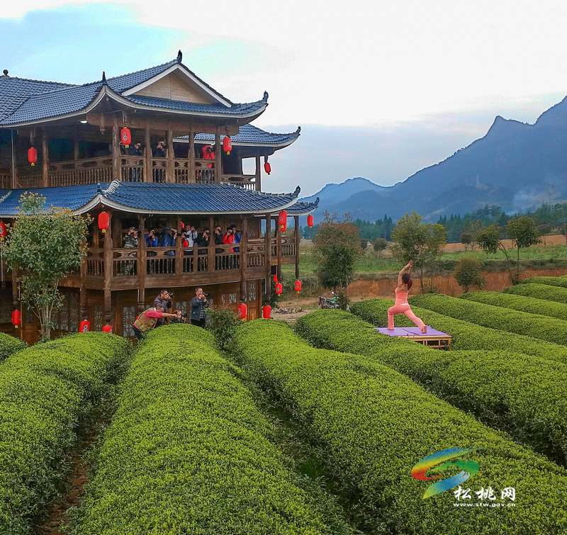 松桃攝影家協(xié)會(huì)年會(huì)暨“梵凈茶葉”杯一日攝影賽