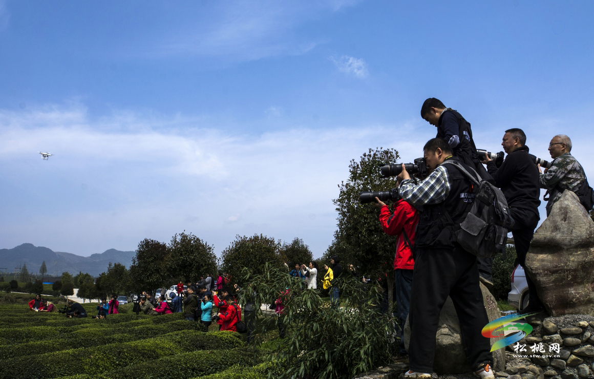 松桃攝影家協(xié)會(huì)年會(huì)暨“梵凈茶葉”杯一日攝影賽