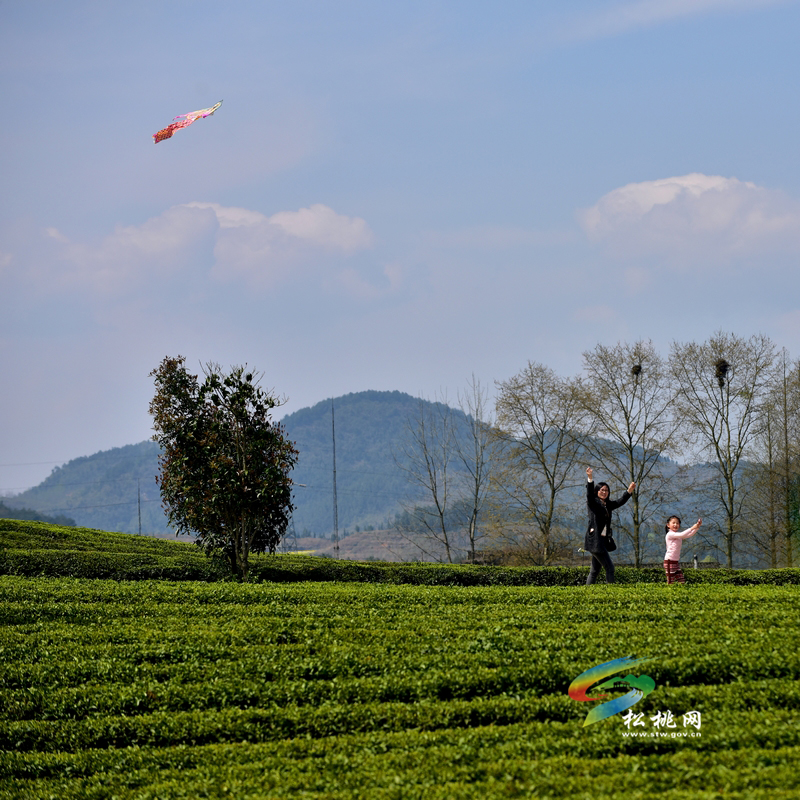 松桃攝影家協(xié)會(huì)年會(huì)暨“梵凈茶葉”杯一日攝影賽