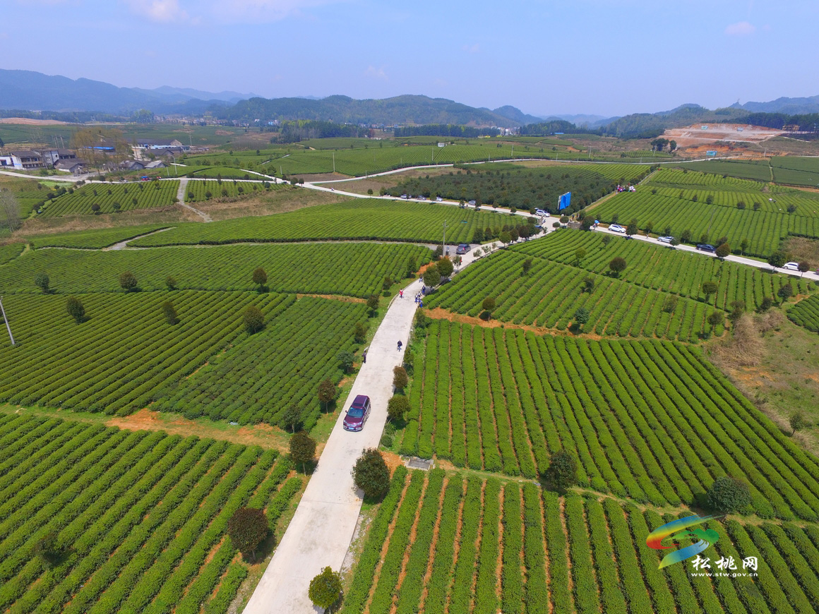 松桃攝影家協(xié)會(huì)年會(huì)暨“梵凈茶葉”杯一日攝影賽