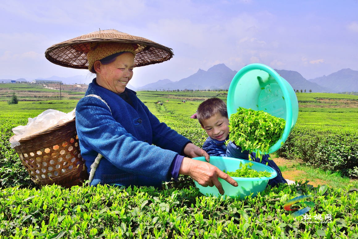 松桃攝影家協(xié)會年會暨“梵凈茶葉”杯一日攝影賽