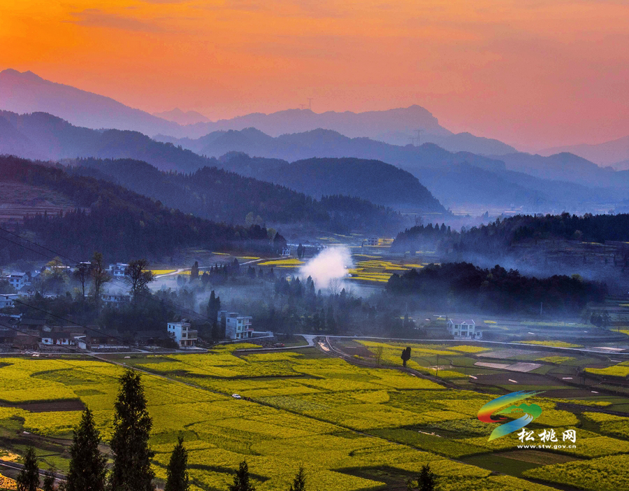 踏春賞花學(xué)瑜伽